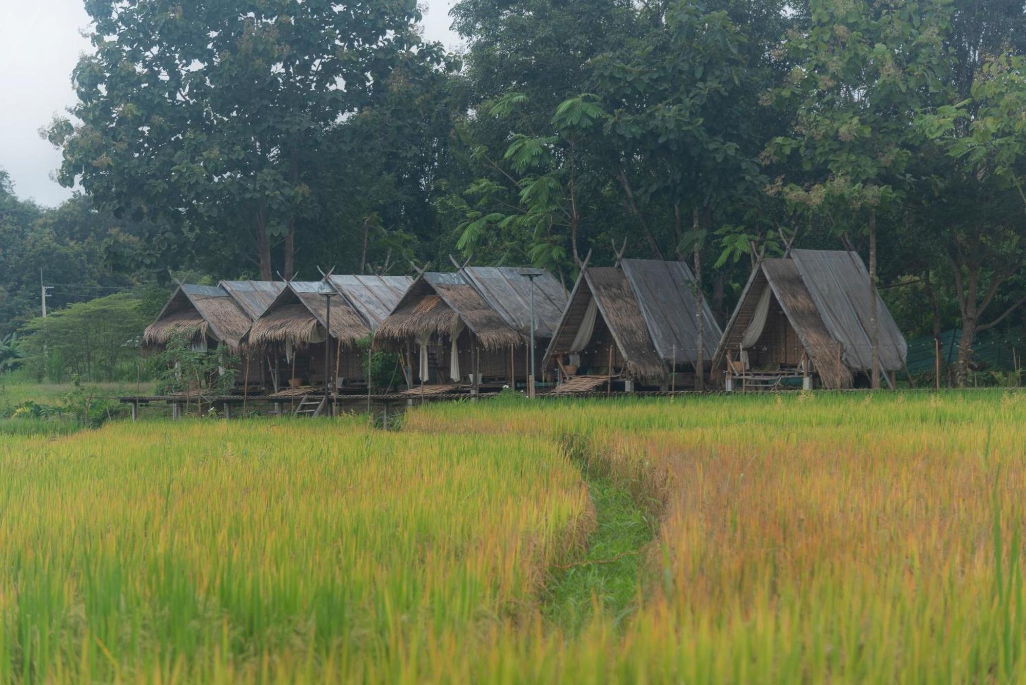 Paddy Fields Haven - Natures Nest パーイ エクステリア 写真