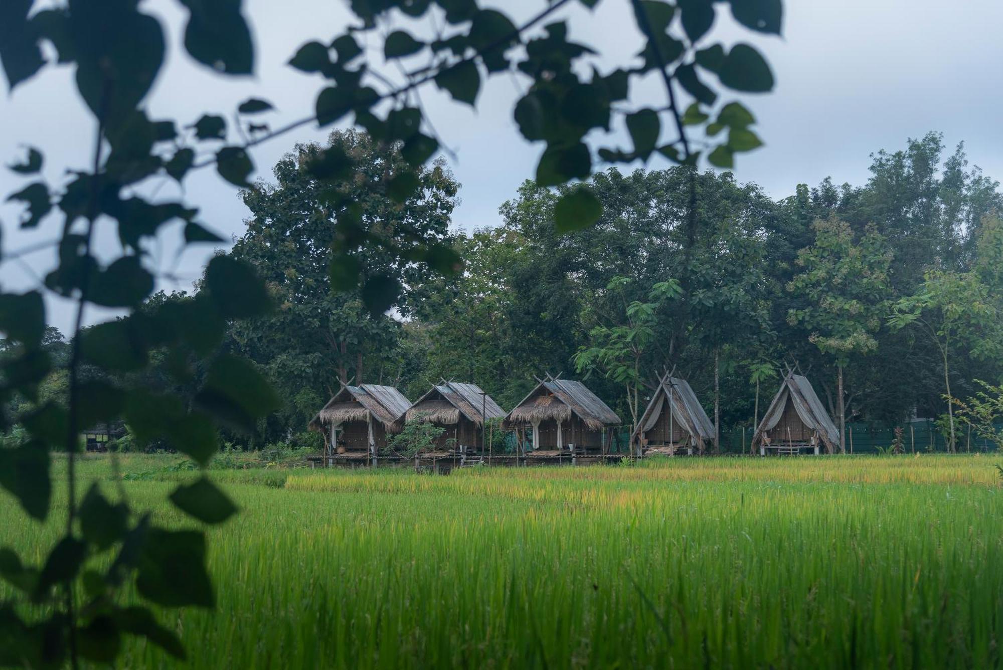 Paddy Fields Haven - Natures Nest パーイ エクステリア 写真