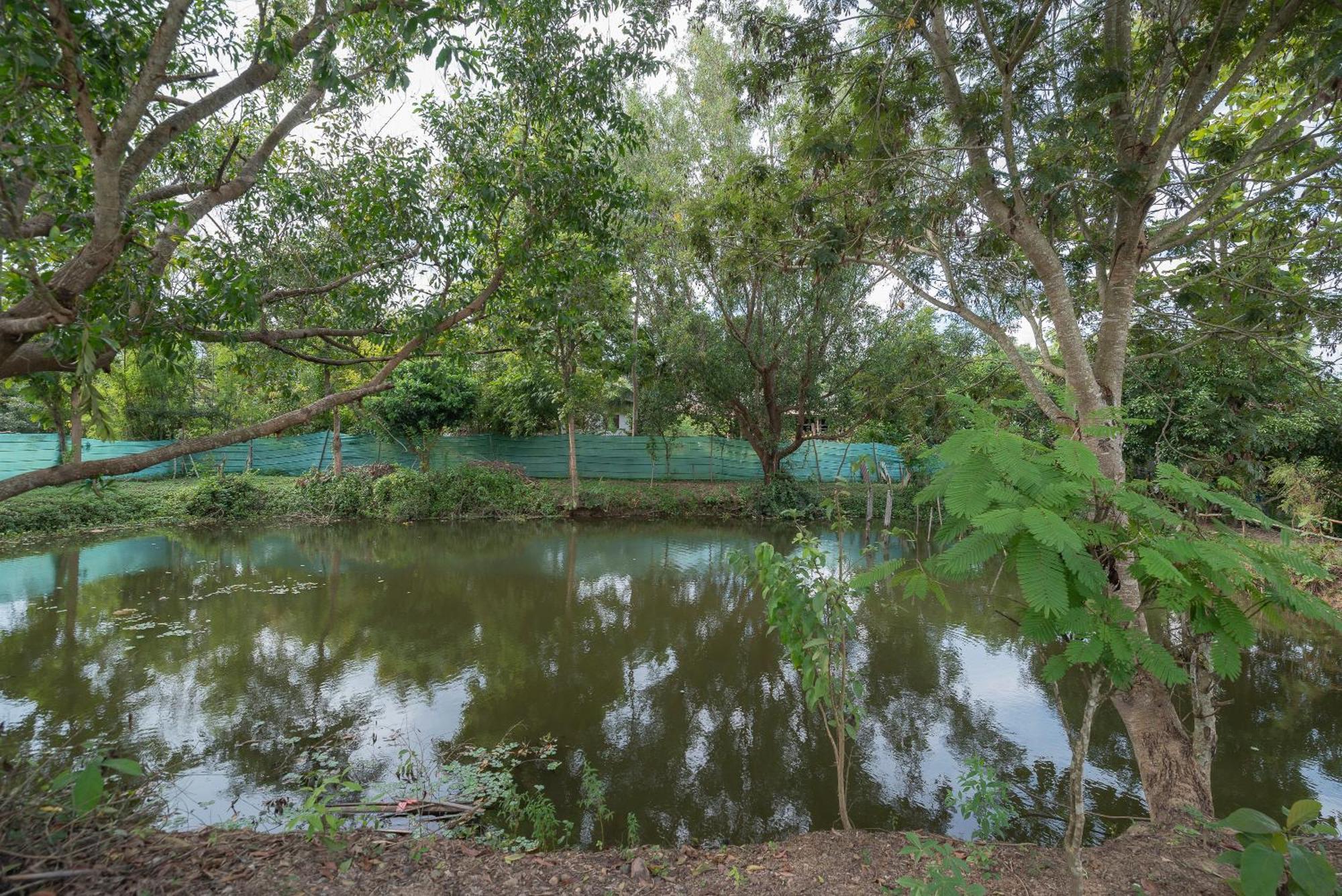 Paddy Fields Haven - Natures Nest パーイ エクステリア 写真