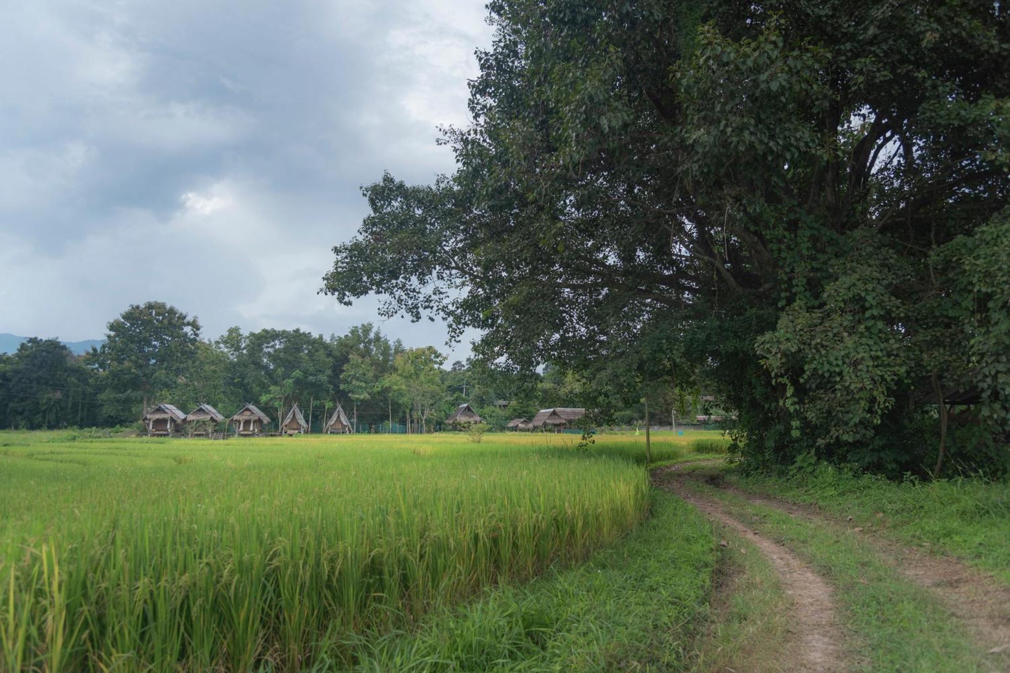 Paddy Fields Haven - Natures Nest パーイ エクステリア 写真