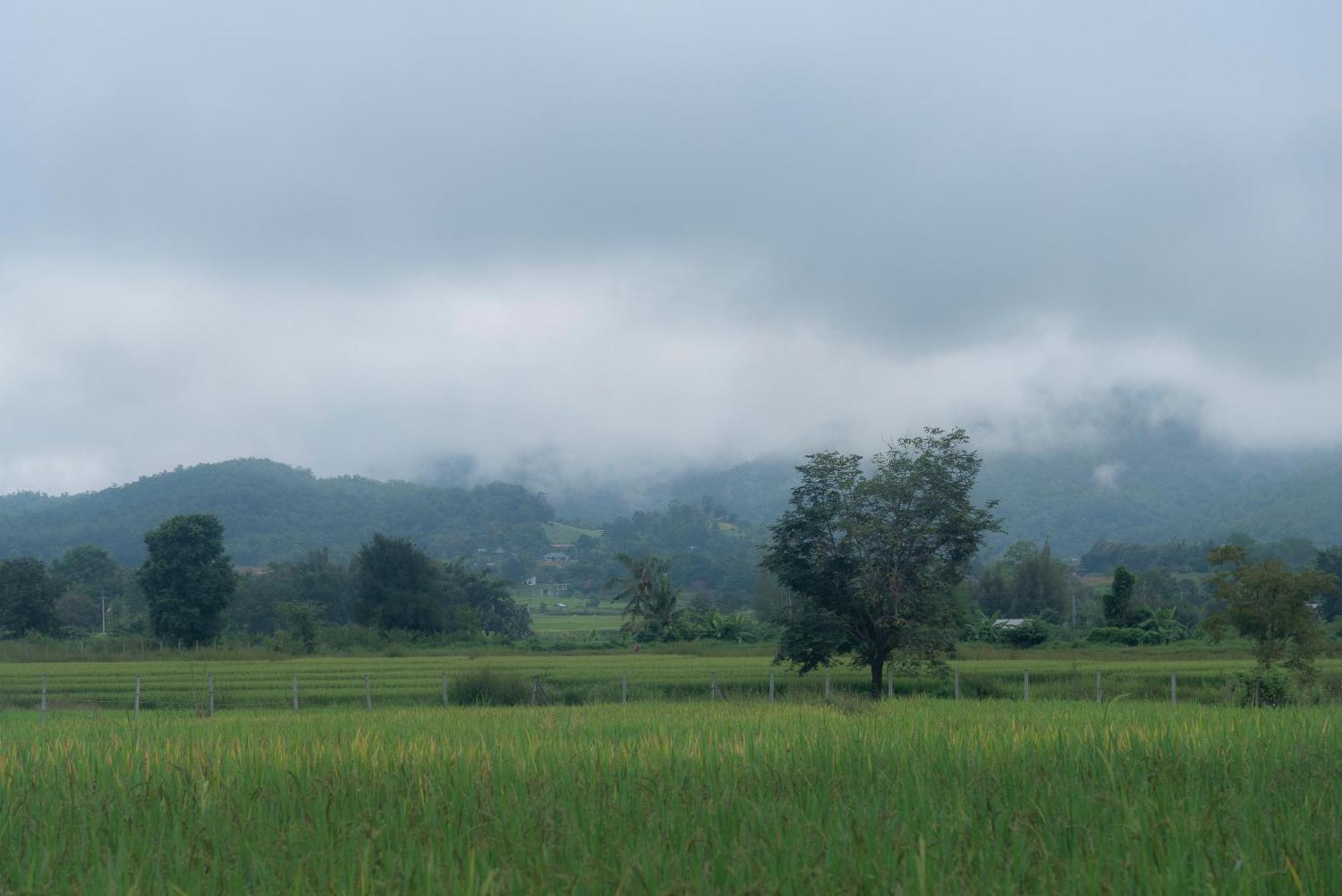 Paddy Fields Haven - Natures Nest パーイ エクステリア 写真