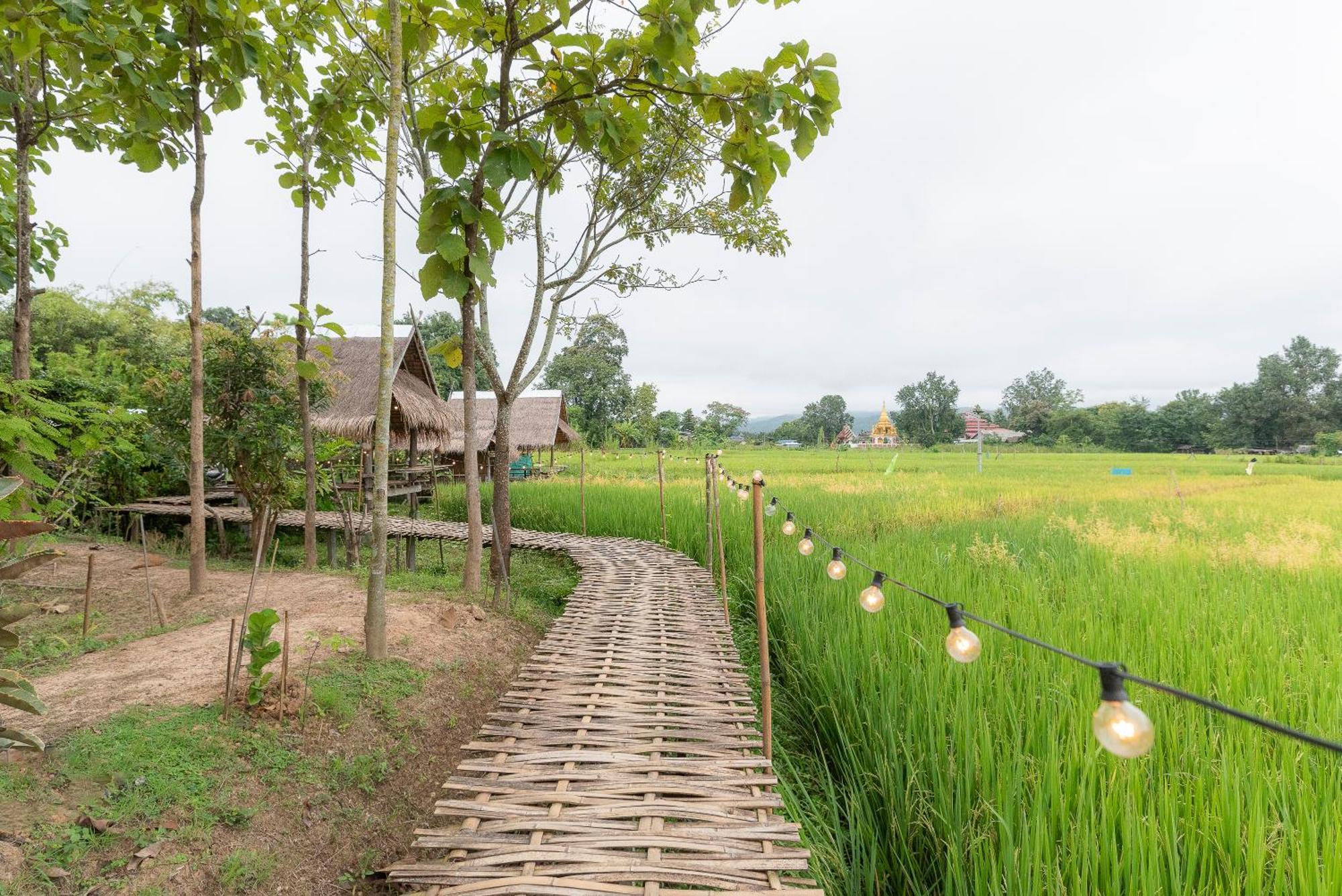 Paddy Fields Haven - Natures Nest パーイ エクステリア 写真