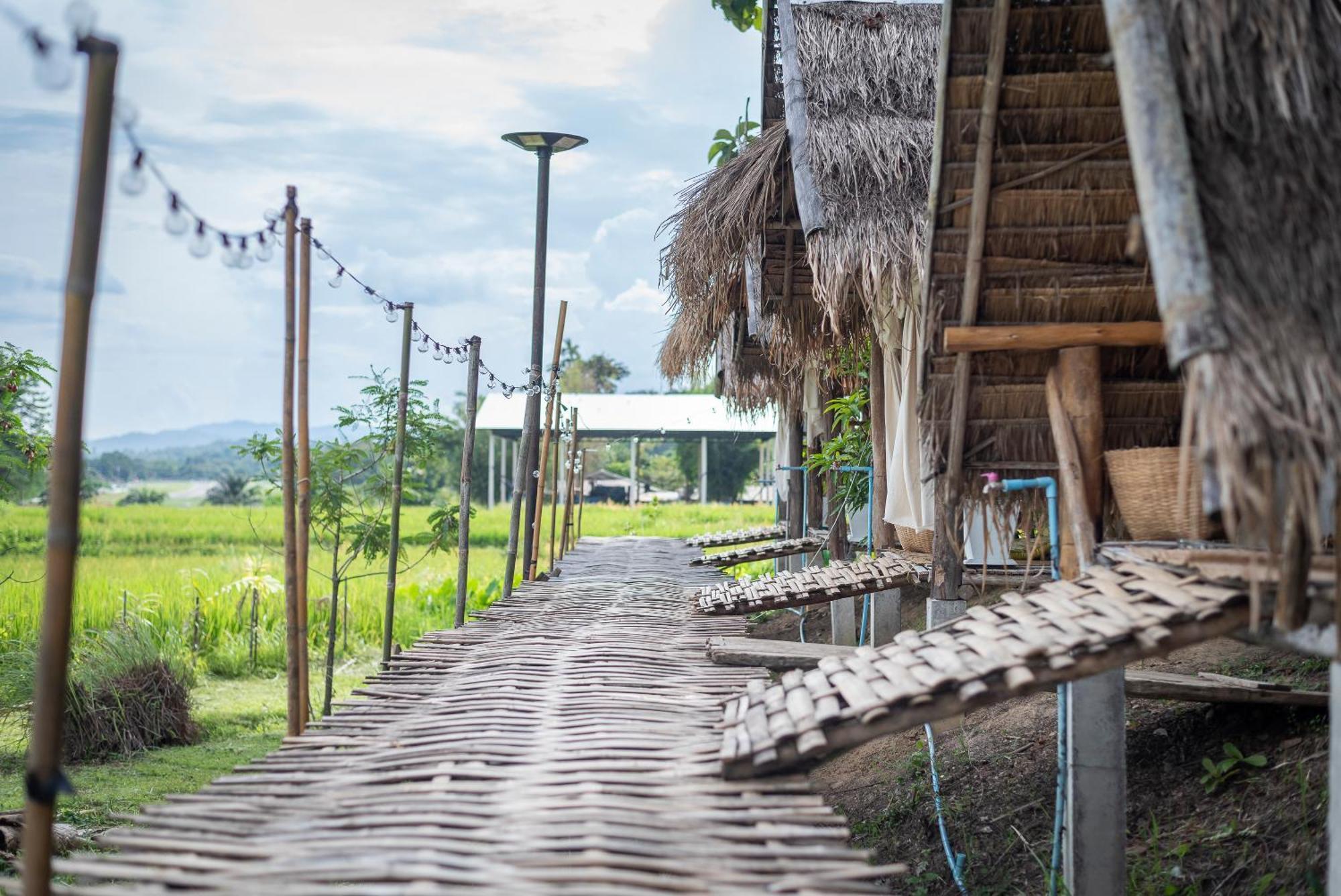 Paddy Fields Haven - Natures Nest パーイ エクステリア 写真
