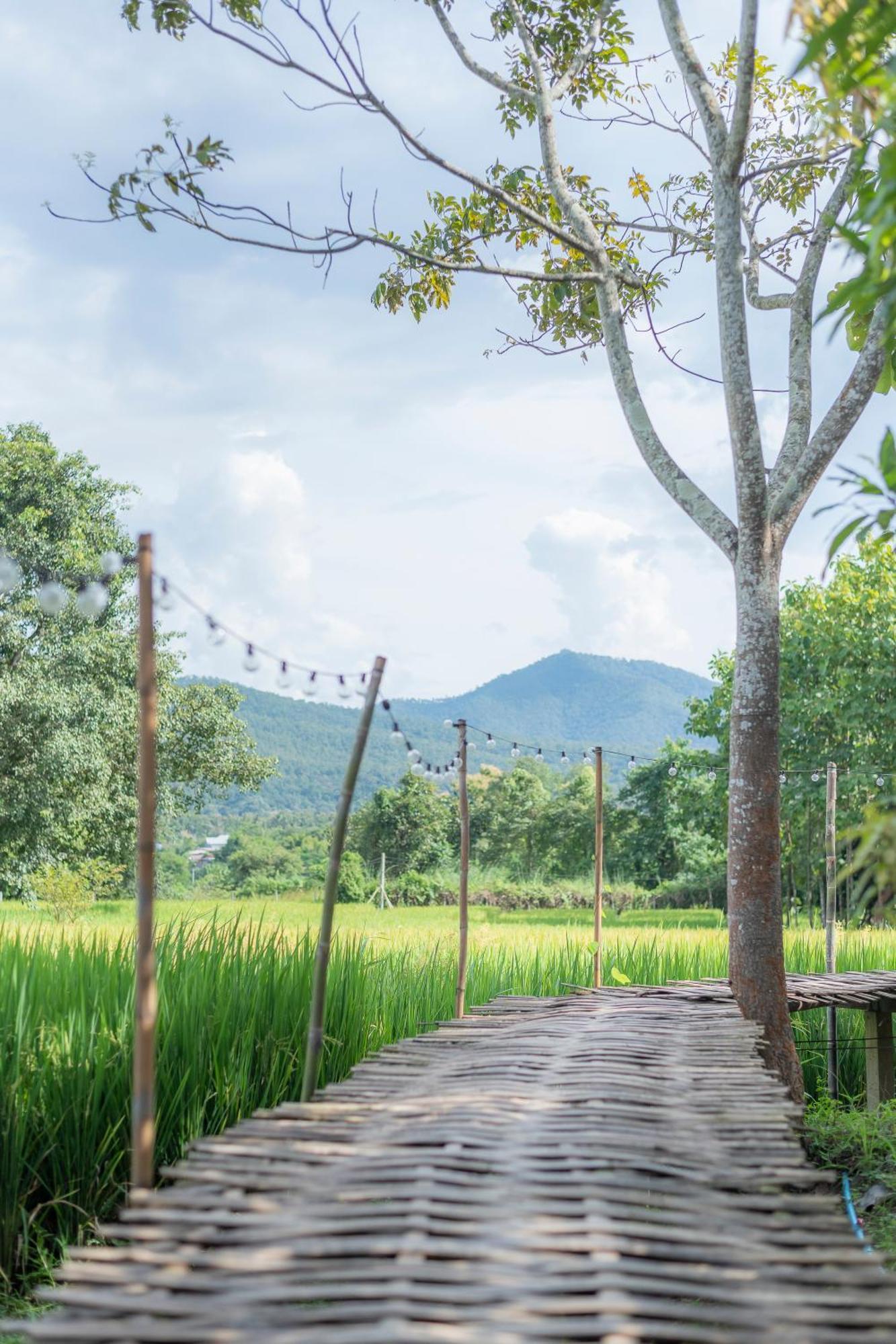 Paddy Fields Haven - Natures Nest パーイ エクステリア 写真