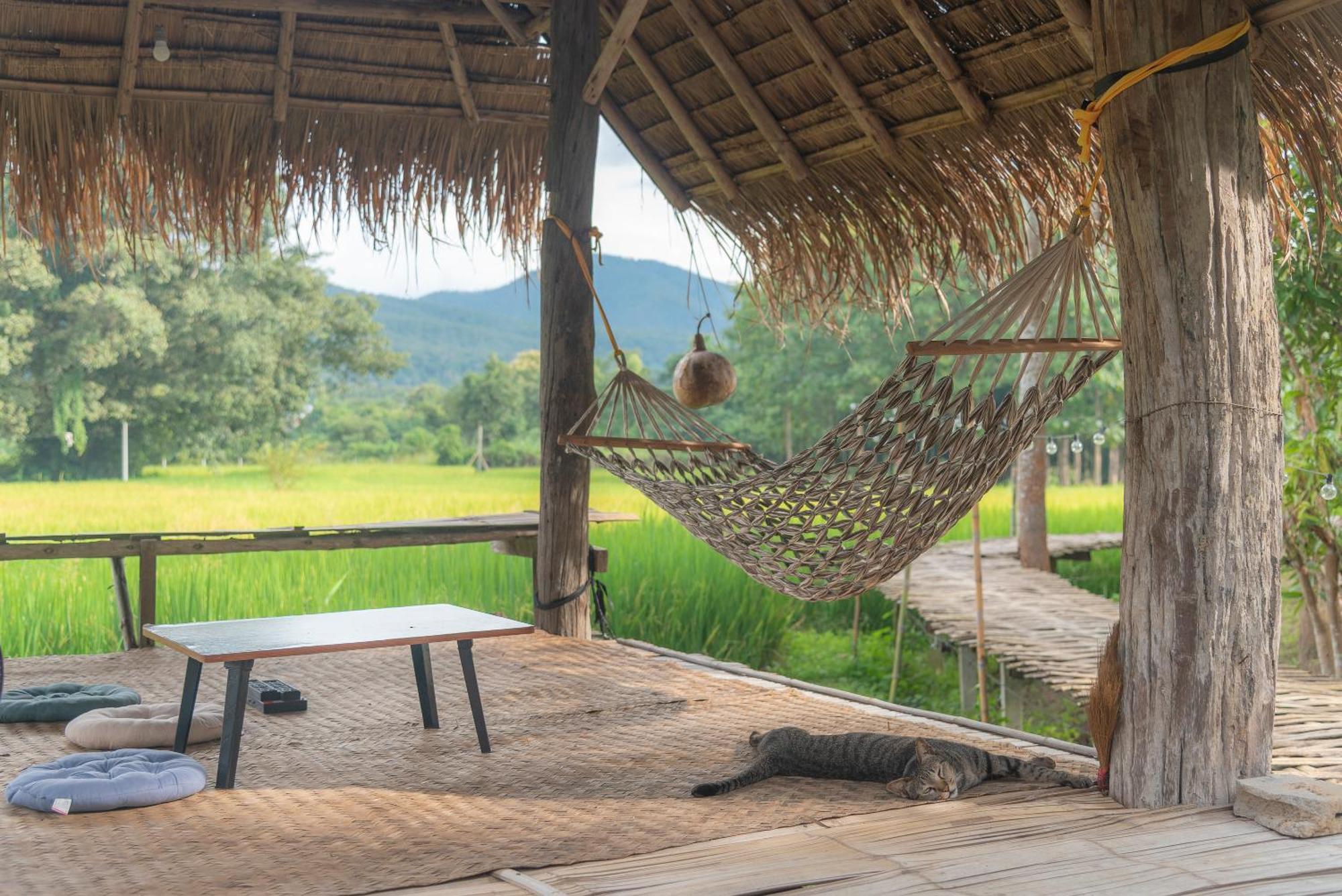 Paddy Fields Haven - Natures Nest パーイ エクステリア 写真