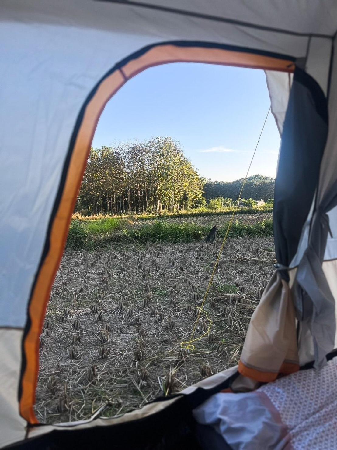 Paddy Fields Haven - Natures Nest パーイ エクステリア 写真